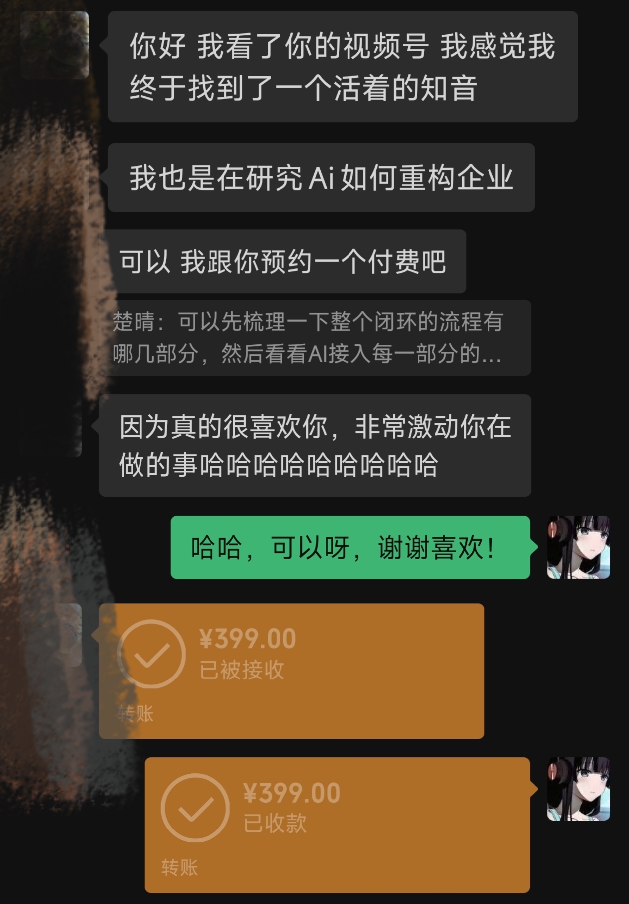 399 元咨询转账记录